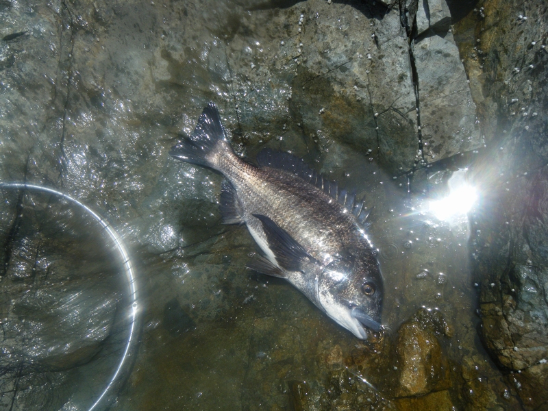 キラキラ＾＾です。