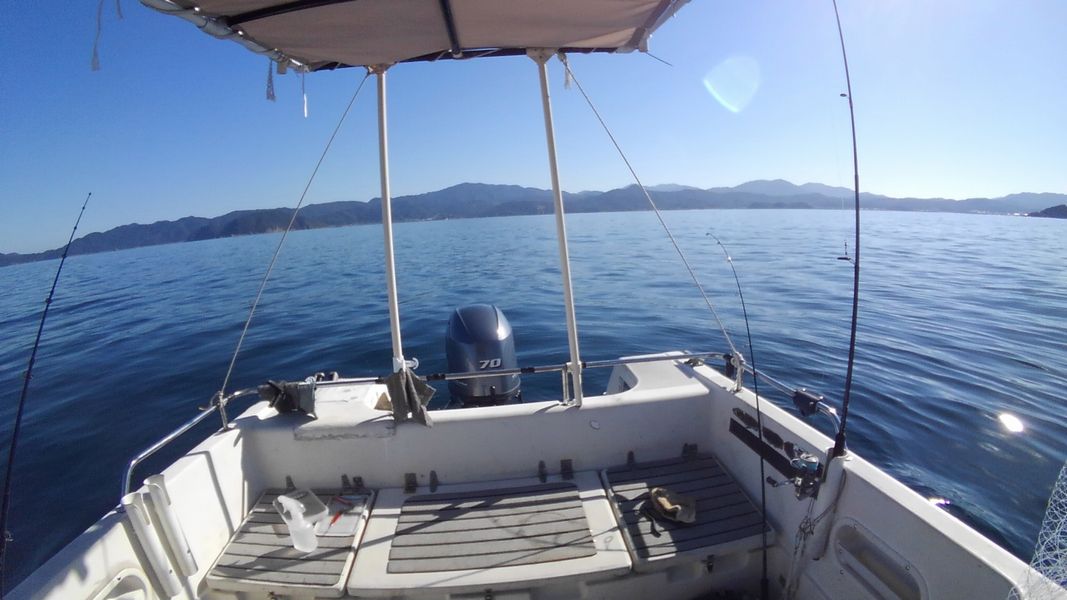 ６月になりました！