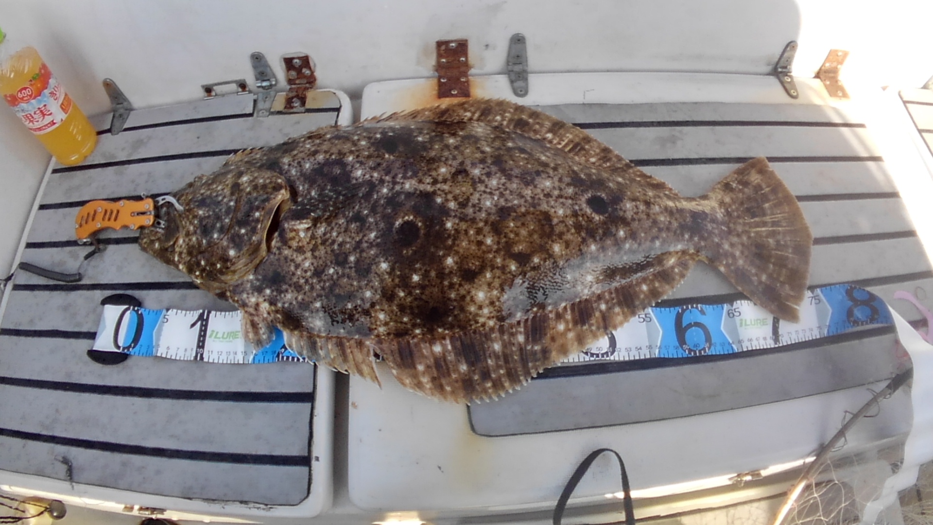 プレジャーボートの楽しみ